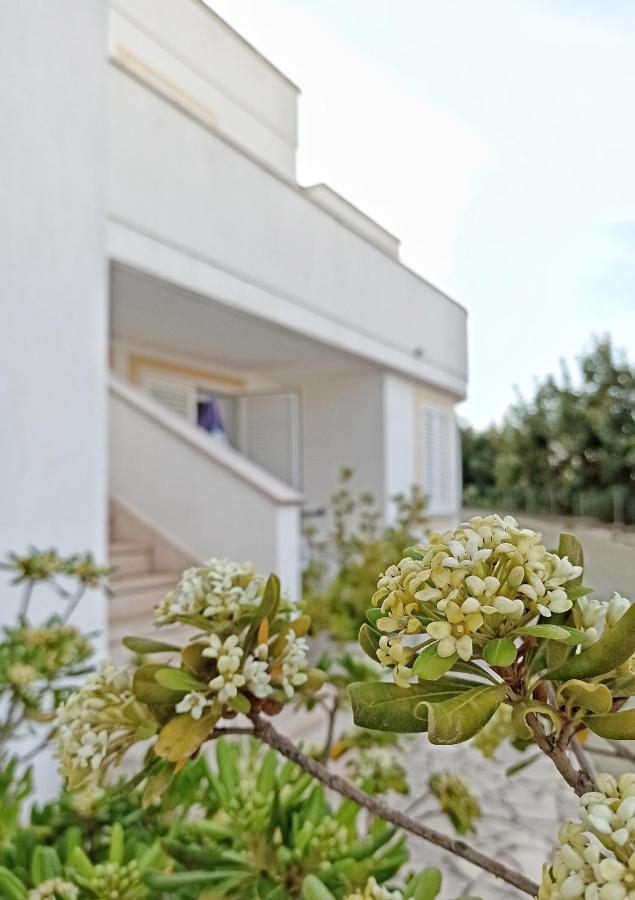 Residence Bellevue Santa Maria di Leuca エクステリア 写真